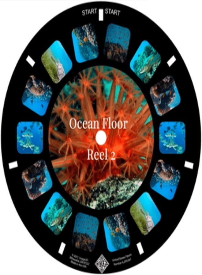 MayKo Ocean Floor Reels for Viewfinder, Compatible with Viewmaster Classic Viewers. Set of 3 (Reels only) - Image 3